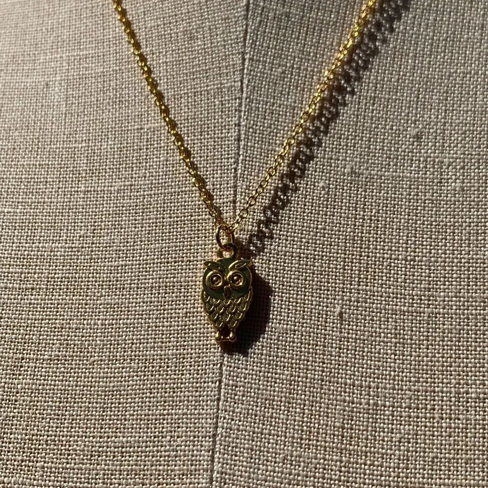 NWT Sterling Silver Plated Chain & Alloy Owl Charm Necklace - Picture 9 of 11